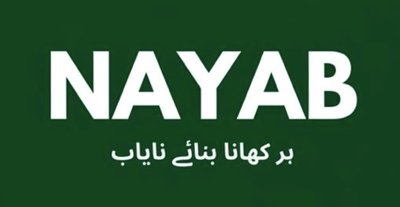 NAYAB Spices logo
